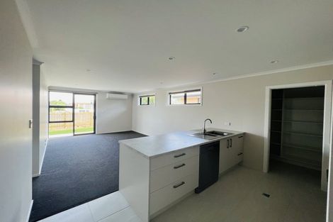 Photo of property in 1152a Heaphy Terrace, Fairfield, Hamilton, 3214