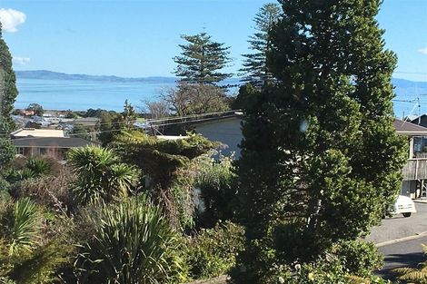 Photo of property in 100a Mill Street, Thames, 3500