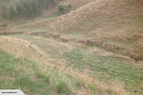 Photo of property in 257 Maungakawa Road, Cambridge, 3496