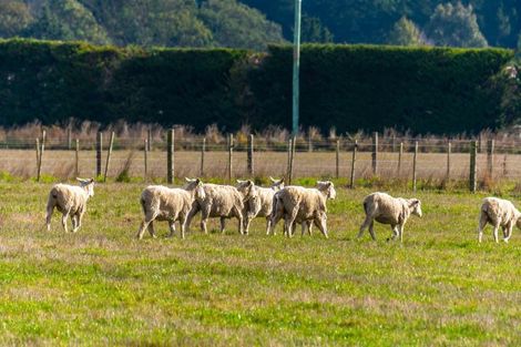 Photo of property in 517 Newtons Road, Rolleston, Christchurch, 7675