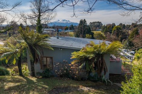Photo of property in 56 Ward Street, Raetihi, 4632