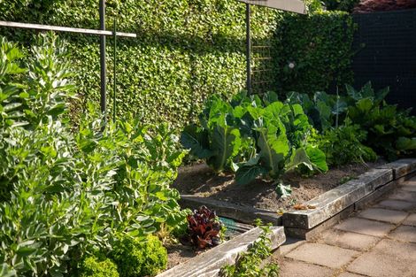 Photo of property in 166 Ilam Road, Ilam, Christchurch, 8041