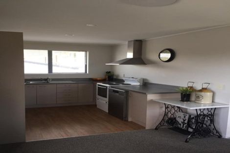 Photo of property in 245a Mitchell Street, Brooklyn, Wellington, 6021