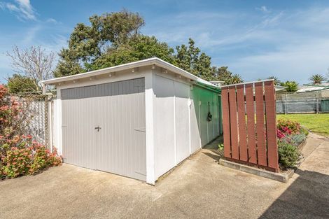 Photo of property in 46 Hadfield Crescent, College Estate, Whanganui, 4500