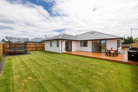 Photo of property in 52 Quinn Crescent, Woodend, 7610