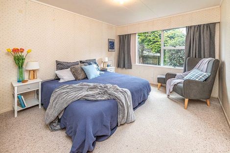 Photo of property in 9 Ascot Street, Levin, 5510