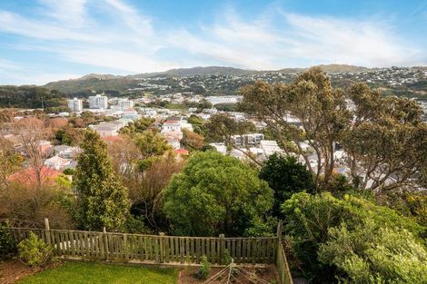 Photo of property in 148 Coromandel Street, Newtown, Wellington, 6021