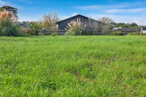 Photo of property in 13b Spring Street, Foxton, 4814