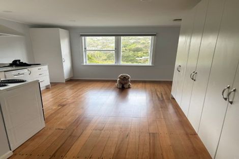 Photo of property in 105 Churchill Drive, Crofton Downs, Wellington, 6035