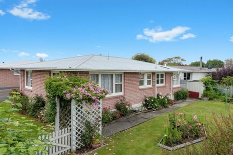 Photo of property in 21b Hale Street, Blenheim, 7201