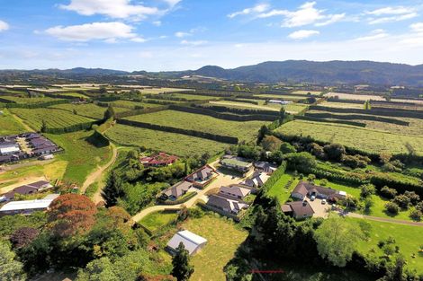 Photo of property in 3 Pure Way, Te Puke, 3119