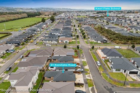 Photo of property in 41 Koroheke Road, Takanini, 2110