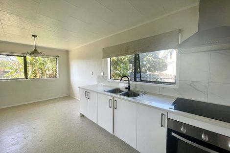 Photo of property in 133 Finlayson Avenue, Clendon Park, Auckland, 2103