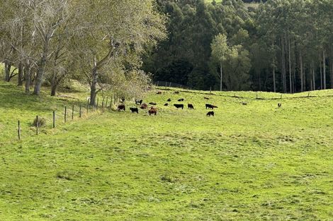 Photo of property in 61 Whites Road, Putaruru, 3483