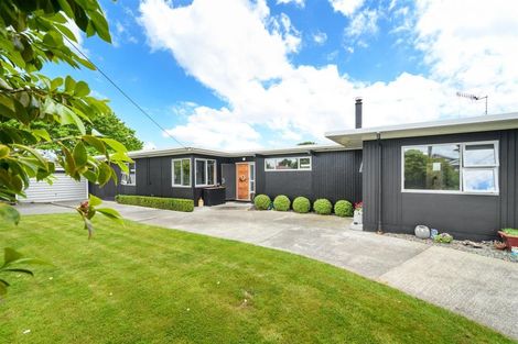 Photo of property in 58 Skerman Street, Marton, 4710