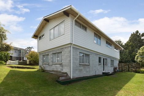 Photo of property in 21 Wood Street, Paeroa, 3600