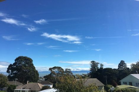 Photo of property in 307 Mount Sea Road, Thames, 3500