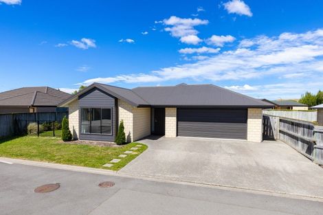 Photo of property in 23b Tremorne Avenue, Blenheim, 7201