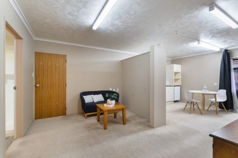 Photo of property in 144 Victoria Avenue, Hokowhitu, Palmerston North, 4410