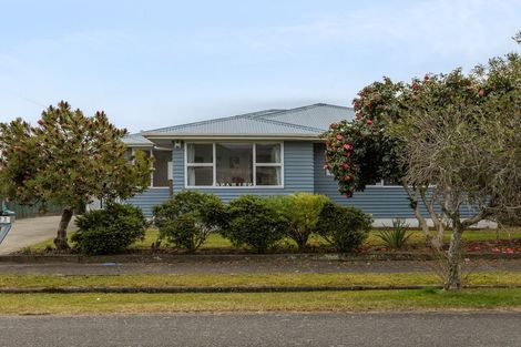 Photo of property in 13 Bowen Street, Levin, 5510
