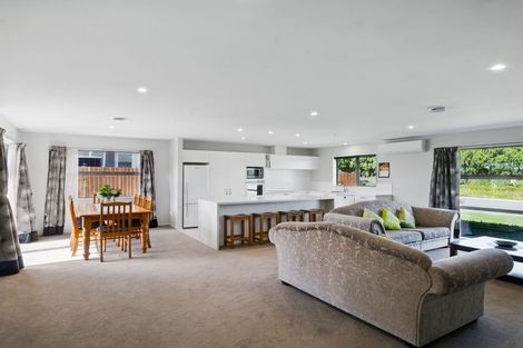 Photo of property in 49 Payne Court, Lincoln, 7608