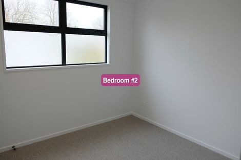 Photo of property in 8c Champion Street, Edgeware, Christchurch, 8013