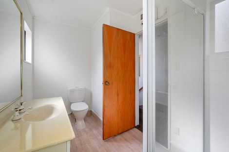 Photo of property in 49 Carey Street, Maeroa, Hamilton, 3200