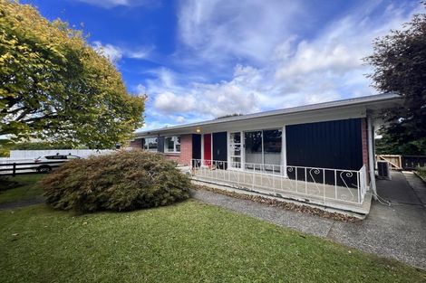 Photo of property in 24 Mason Avenue, Pukekohe, 2120