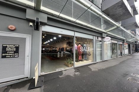 Photo of property in Trinity Apartments, 19 College Street, Te Aro, Wellington, 6011