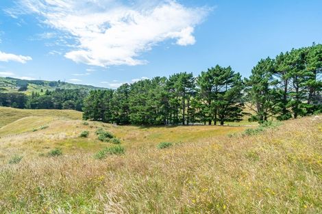 Photo of property in 207 Flightys Road, Judgeford, Porirua, 5381