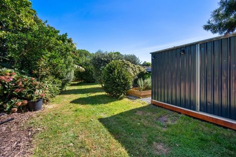 Photo of property in 6 Hall Street, Napier South, Napier, 4110