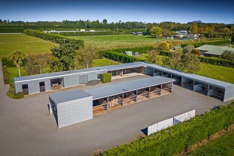 Photo of property in 16 Mcclelland Road, Rolleston, Christchurch, 7675