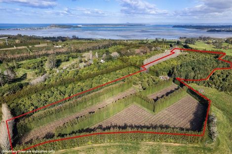 Photo of property in 308 Athenree Road, Athenree, Katikati, 3177