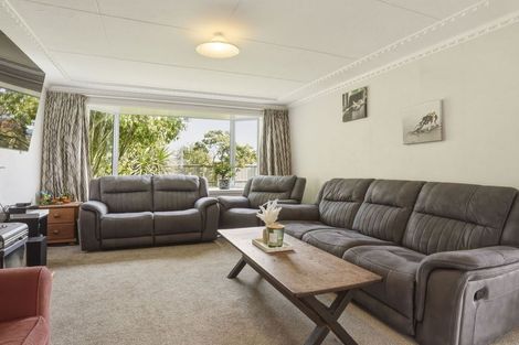 Photo of property in 321 Union Street, Milton, 9220