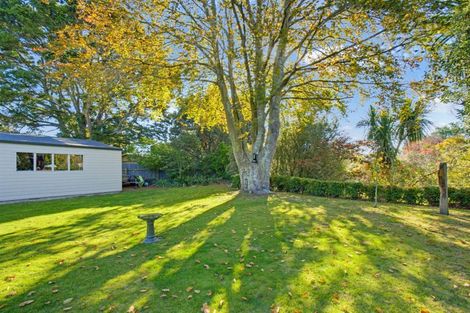 Photo of property in 43 Norfolk Crescent, Feilding, 4702