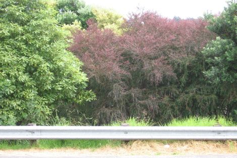 Photo of property in 1/326a Glenfield Road, Glenfield, Auckland, 0629