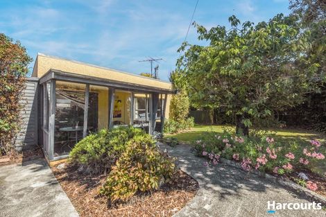 Photo of property in 3 Courtney Street, Motueka, 7120