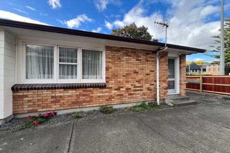 Photo of property in 123 Fitzherbert Avenue, West End, Palmerston North, 4410