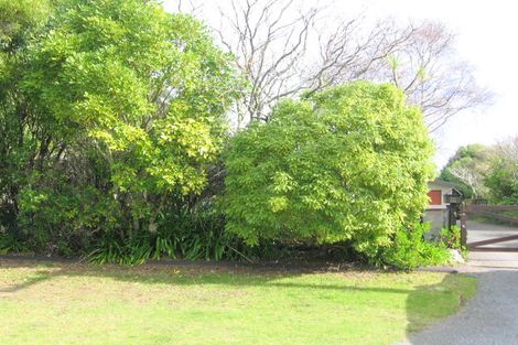 Photo of property in 111 Sylvia Road, Whangamata, 3620