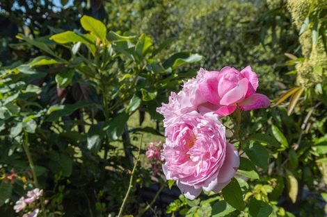 Photo of property in 319b Rotowaro Road, Huntly, 3771