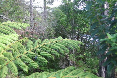 Photo of property in 363 Titirangi Road, Titirangi, Auckland, 0604