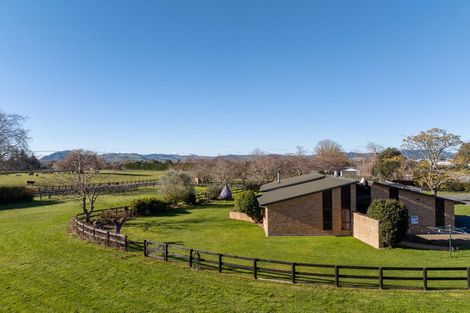 Photo of property in 161 Hautapu Road, Pukemoremore, Cambridge, 3493