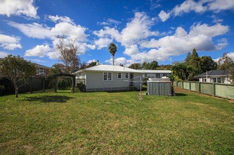 Photo of property in 17 Davies Street, Paeroa, 3600
