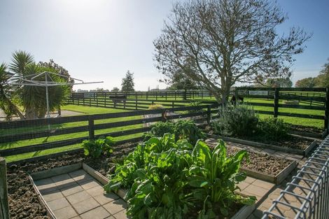 Photo of property in 273 Kaipaki Road, Ohaupo, 3881