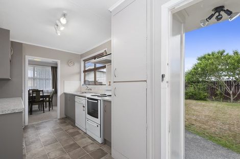 Photo of property in 19 Marlborough Place, Tokoroa, 3420
