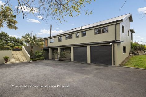 Photo of property in 293 Pahoia Road, Whakamarama, Tauranga, 3172