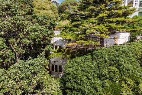 Photo of property in 94 Mortimer Terrace, Brooklyn, Wellington, 6021