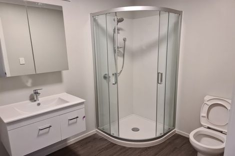 Photo of property in 17u4 Vialou Street, Hamilton Central, Hamilton, 3204