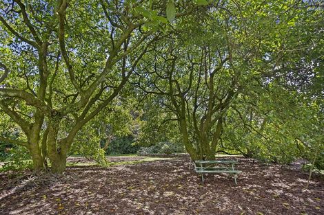 Photo of property in 21 Rea Road, Tahawai, Katikati, 3178