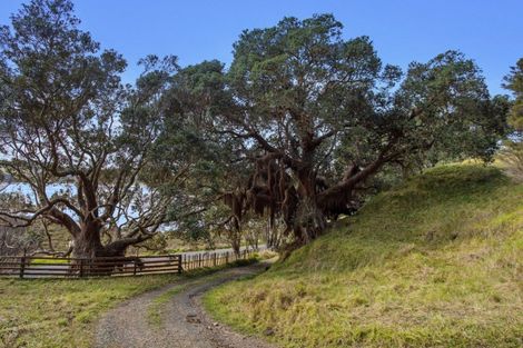 Photo of property in 107 Ohiwa Loop Road, Waiotahe, Opotiki, 3198